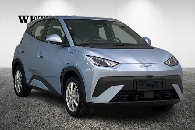 BYD Dolphin Surf