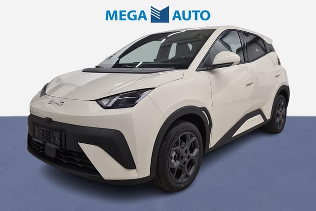 BYD Dolphin Surf